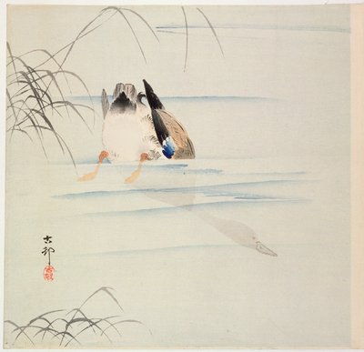 Duck Diving, c. early 1900s by Ohara Koson